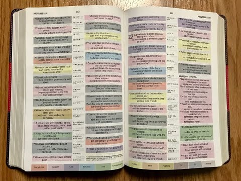 Rainbow Study Bible Review