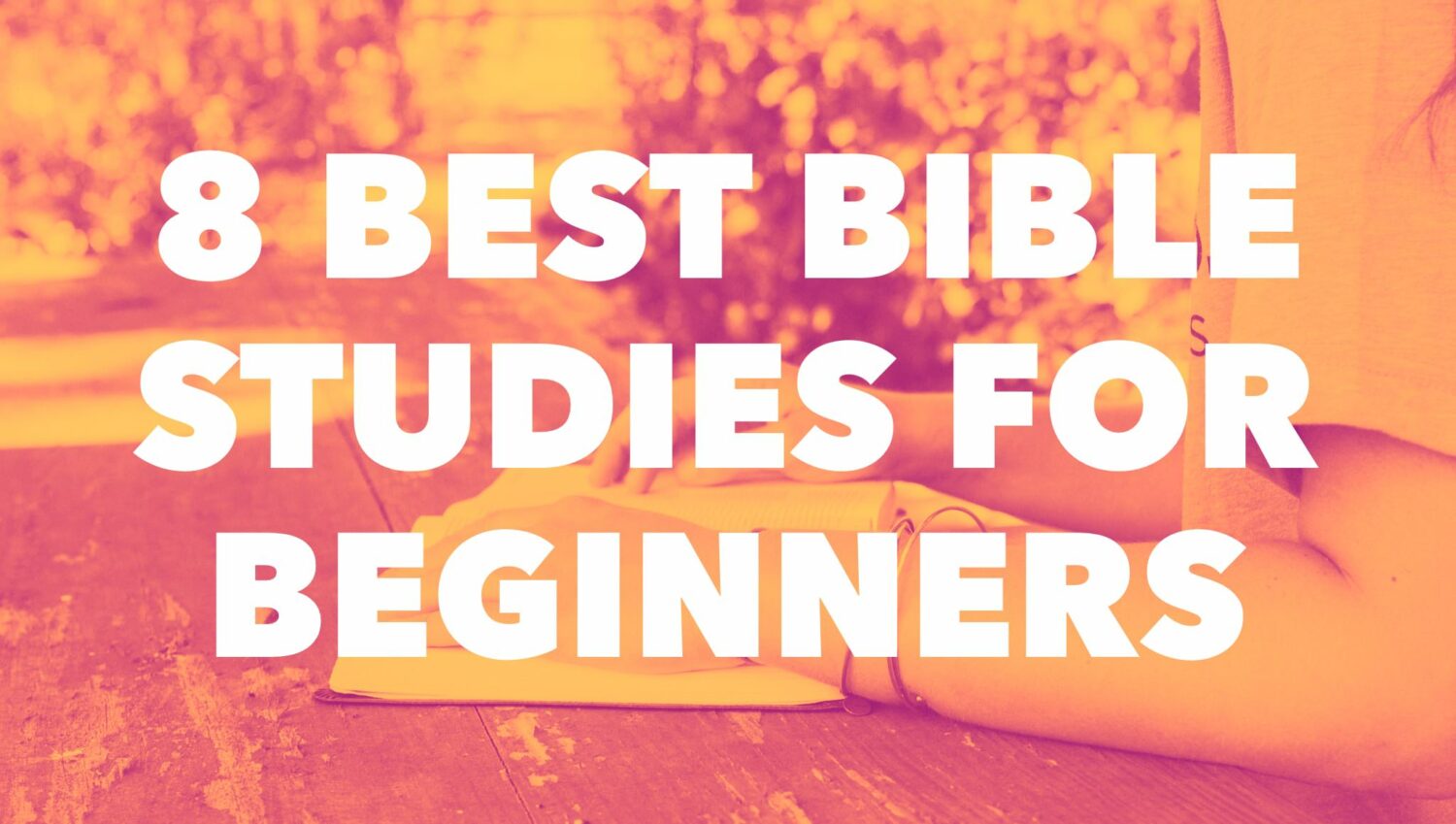 beginners bible studies