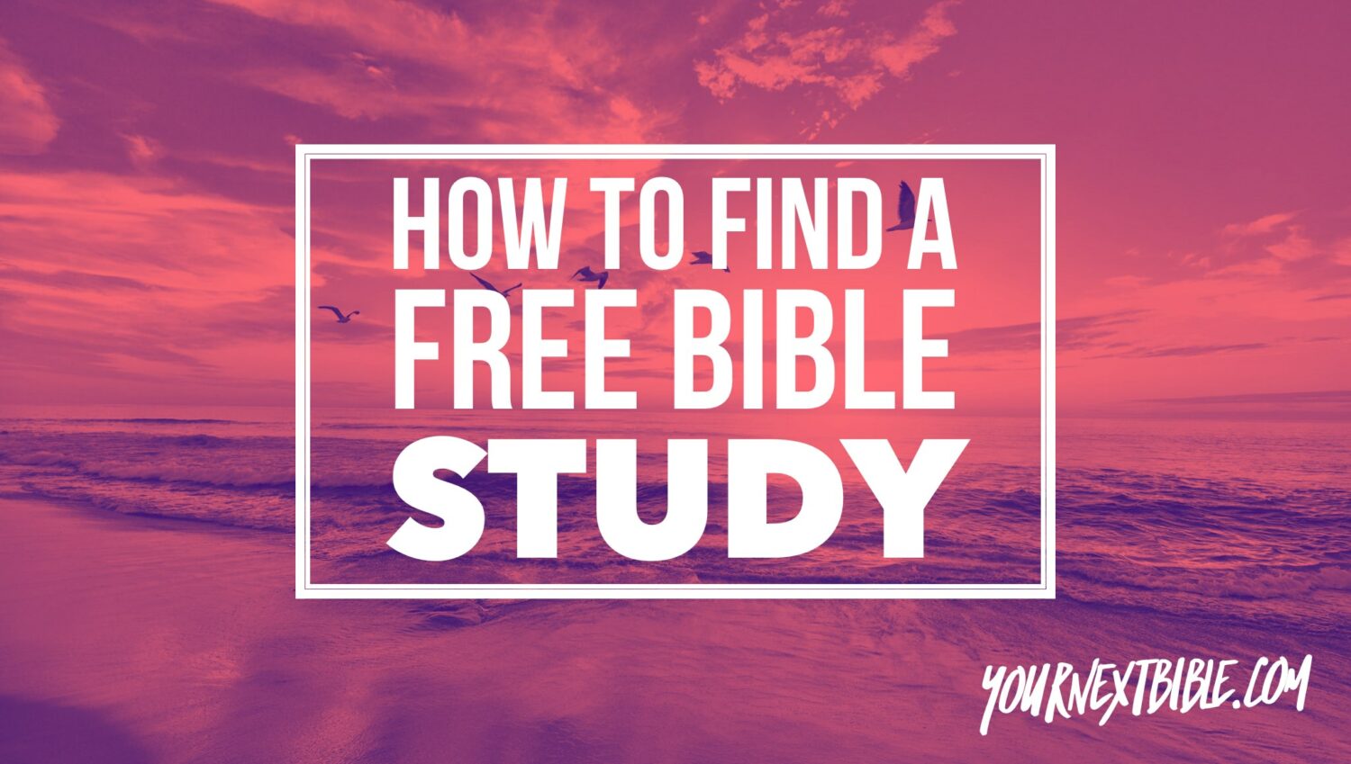 How to Find a FREE Bible Study