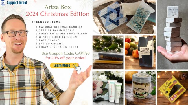 christmas artza discount